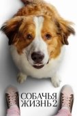 Постер Собачья жизнь 2 (2019)