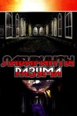 Постер Лабиринты разума (2006)