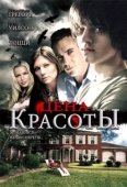 Постер Цена красоты (2009)