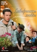 Постер Лабиринты любви (2015)