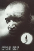 Постер Сталкер (2014)