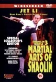 Постер Храм Шаолинь 3: Боевые искусства Шаолиня (1985)