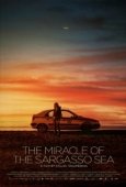 Постер Чудо Саргассова моря (2019)