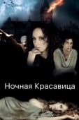 Постер Ночная красавица (2013)
