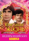 Постер Красивая жизнь (2011)