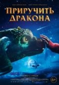 Постер Приручить дракона (2020)