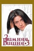 Постер Зимняя вишня 3 (1995)