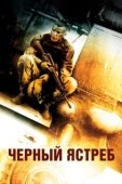 Постер Черный ястреб (2001)