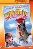 Постер Завтрак с Эйнштейном (1998)