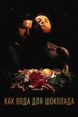 Постер Как вода для шоколада (1991)