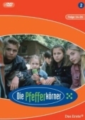 Постер Детективы из табакерки (1999)
