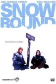 Постер Затерянные в снегах: История Джима и Дженнифер Столпа	 (1993)