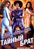 Постер Тайный брат (2002)