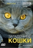 Постер BBC: Загадочные кошки (2002)