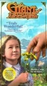 Постер Великан с Громовой горы (1991)