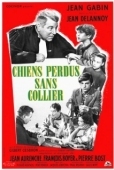 Постер Бродячие собаки без ошейников (1955)