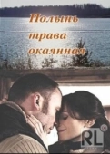 Постер Полынь — трава окаянная (2010)