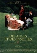 Постер Ангелы и насекомые (1995)