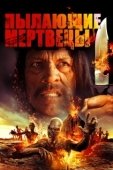Постер Пылающие мертвецы (2015)