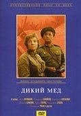 Постер Дикий мёд (2017)