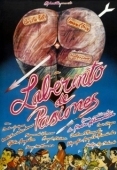 Постер Лабиринт страстей (1982)