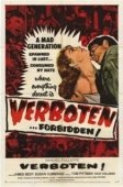 Постер Запретные чувства (1959)