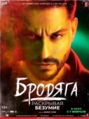 Постер Бродяга: Раскрывая безумие (2020)