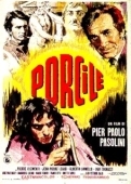 Постер Свинарник (1969)