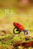 Постер Яд. Достижение эволюции (2015)