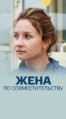 Постер Жена по совместительству (2013)