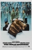 Постер Молли Магуайерс (1970)