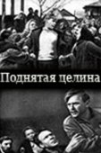 Постер Поднятая целина (1940)
