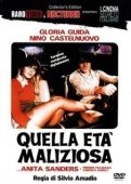 Постер Опасный возраст (1981)