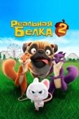 Постер Реальная белка 2 (2017)