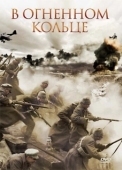 Постер Стражи Риги (2007)