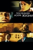 Постер Последняя искра жизни (2011)