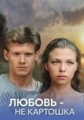 Постер Любовь – не картошка (2013)