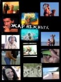 Постер Дикий, дикий пляж. Жар нежных (2005)
