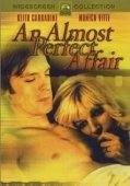 Постер Почти идеальный роман (1962)