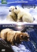 Постер BBC: Величайшие явления природы (2009)