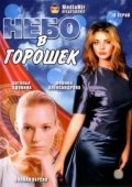 Постер Небо в горошек (2004)