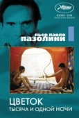 Постер Цветок тысяча и одной ночи (1974)