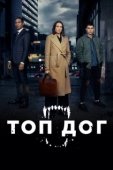 Постер Топ дог (2020)