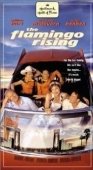 Постер Восход Фламинго (2001)