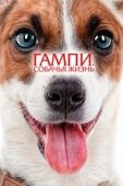 Постер Гампи. Собачья жизнь (2024)