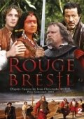 Постер Красный цвет Бразилии (2012)