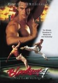 Постер Кровавый спорт 4: Цвет тьмы (1999)