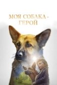 Постер Моя собака — герой (2019)
