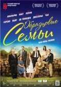Постер Образцовые семьи (2014)