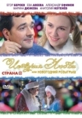 Постер История любви, или новогодний розыгрыш	 (2009)